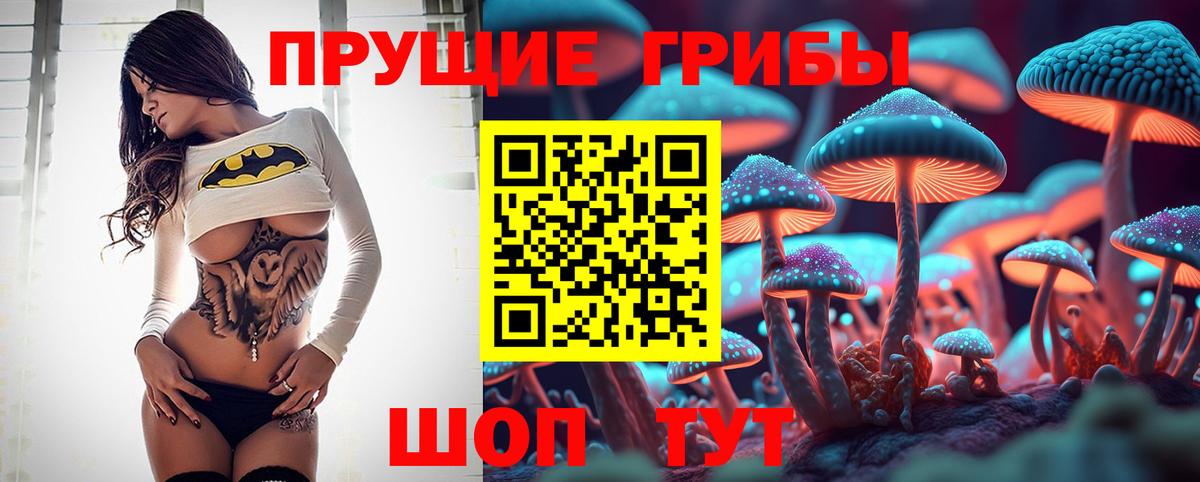 магазин    Вход с VPN  Россия  Псилоцибиновые грибы мухоморы 